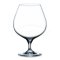 TOMGAST Sklenice na brandy 66 cl